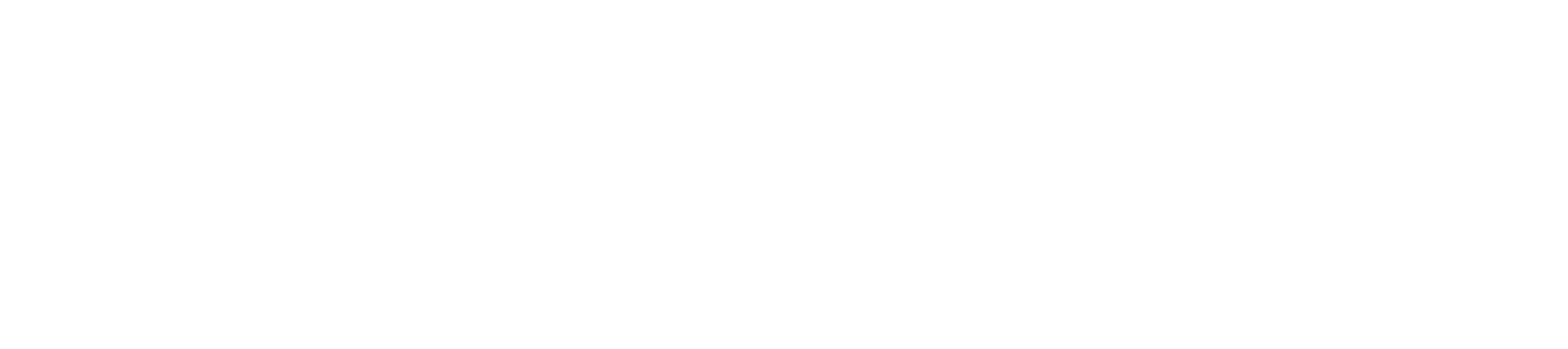 Ropo One